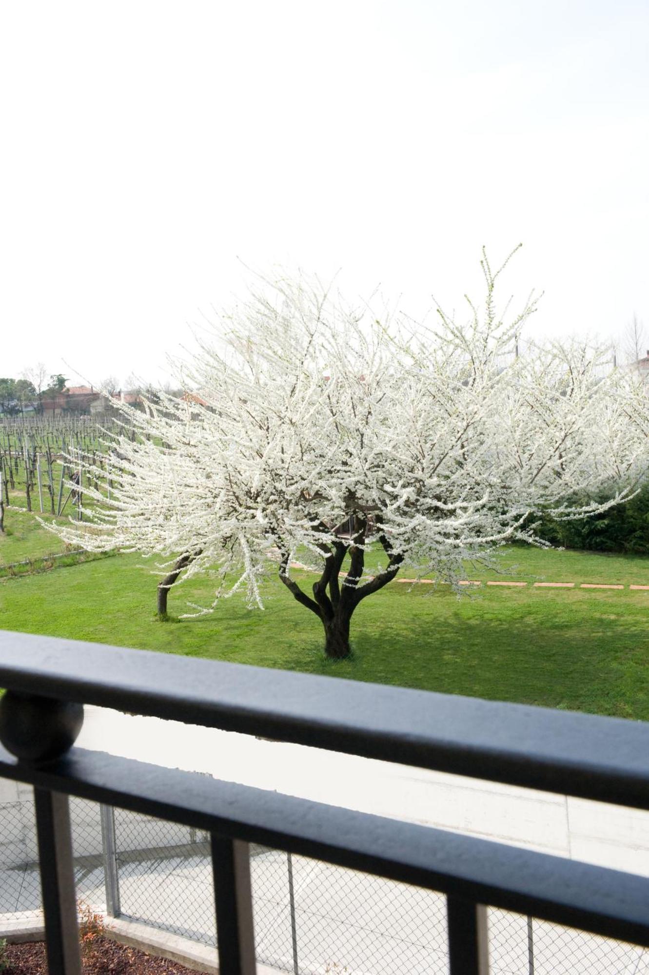 Bed & Breakfast Daniel 5*